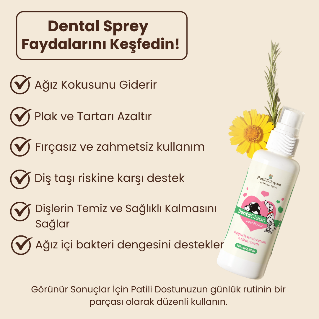 PatiliDünyam™Dental Sprey