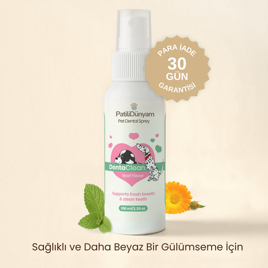 PatiliDünyam™Dental Sprey